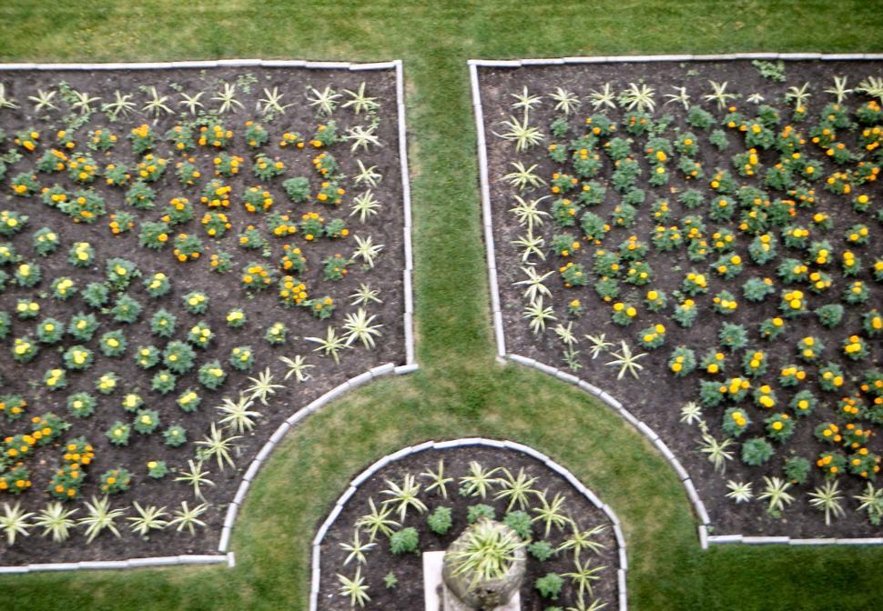 Free Image of Overhead birds-eye view of a flower garden and fountain 