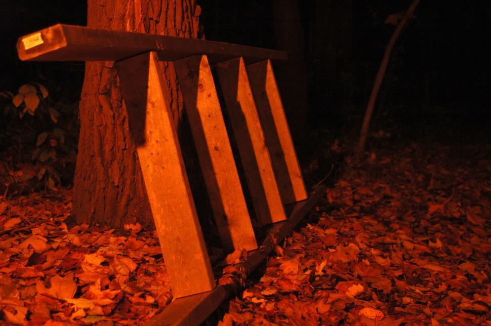 Free Image of Wooden Ladder and Tree - Night  