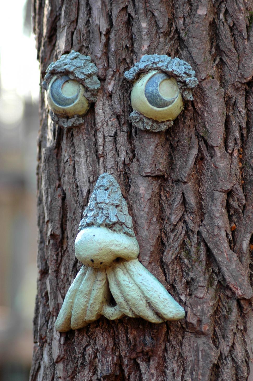 Free Image of Tree With Face Painted On It 