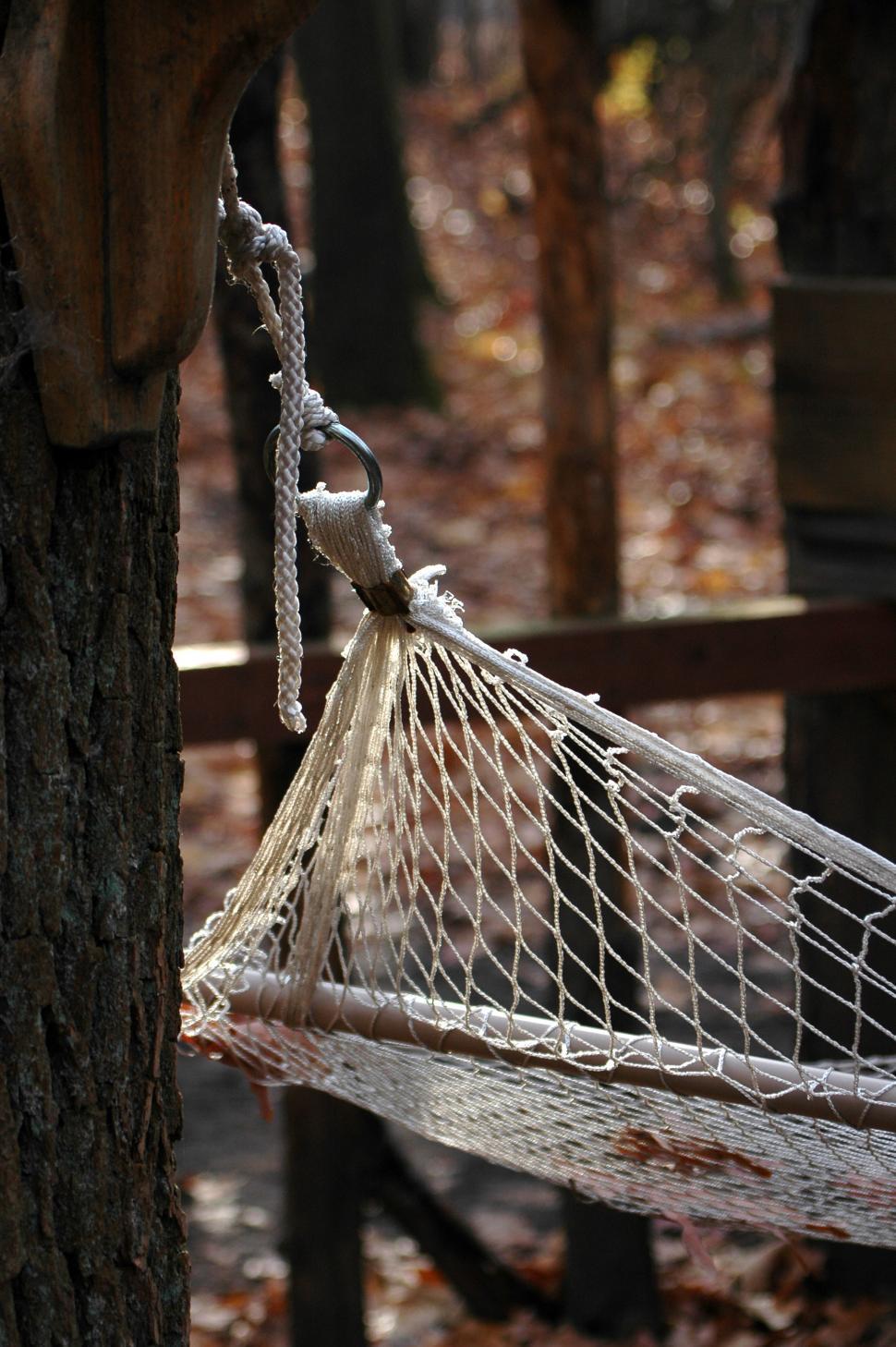 Free Image of Hammock Hanging From Tree in Woods 