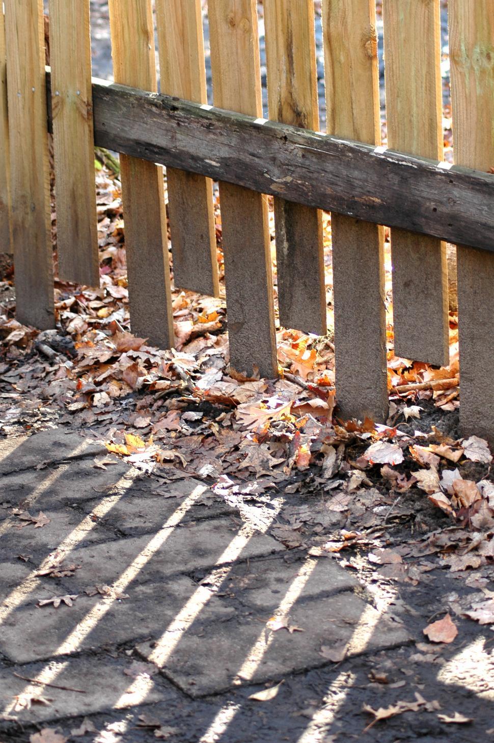 Free Image of Cat Sitting Next to Wooden Fence 