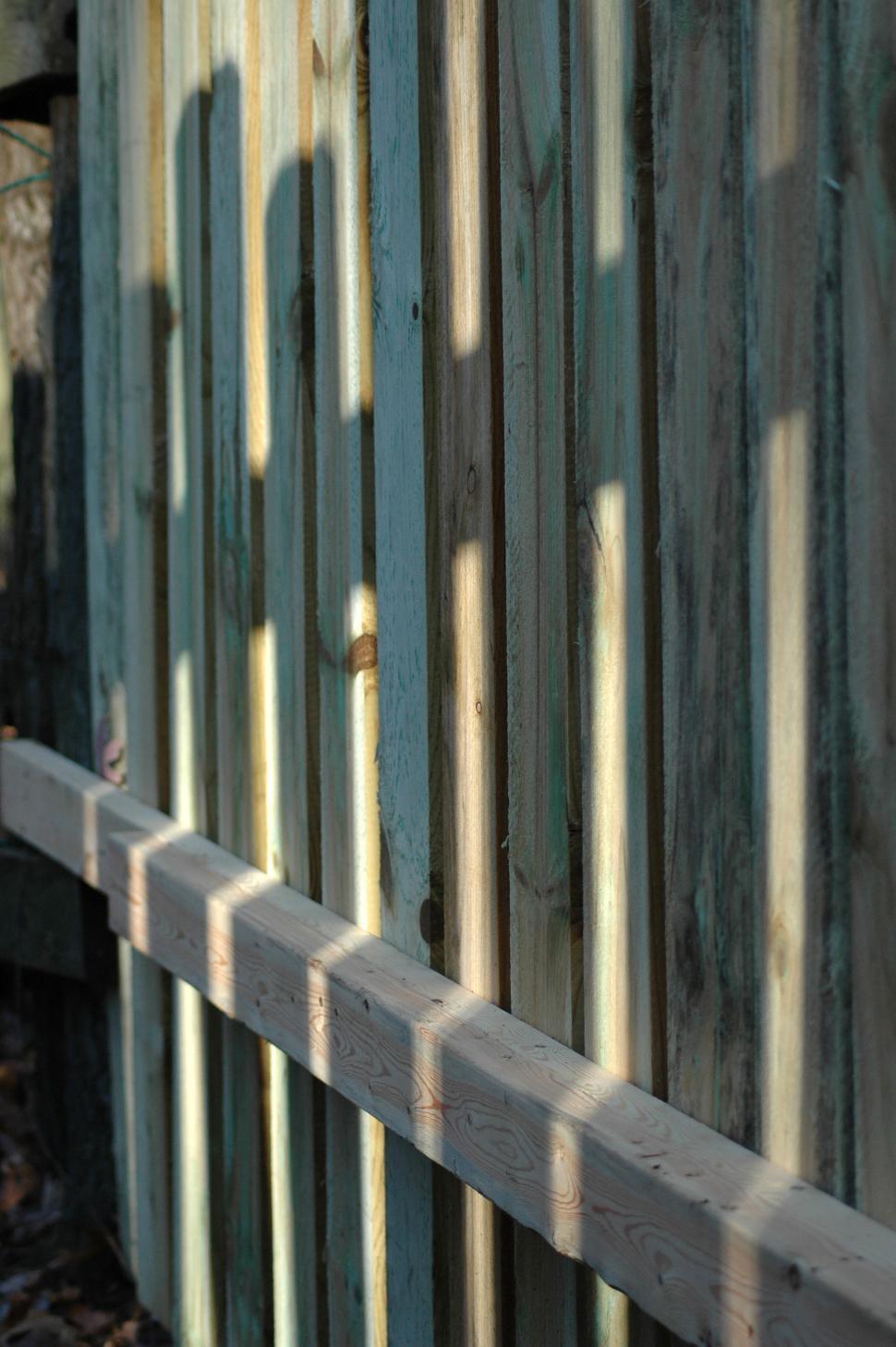 Free Image of Bird Perched on Wooden Fence 