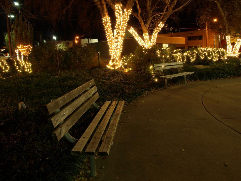 Free Image of Park Bench Covered in Christmas Lights at Night 