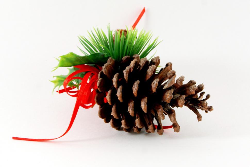 Free Image of Pine Cone on white 