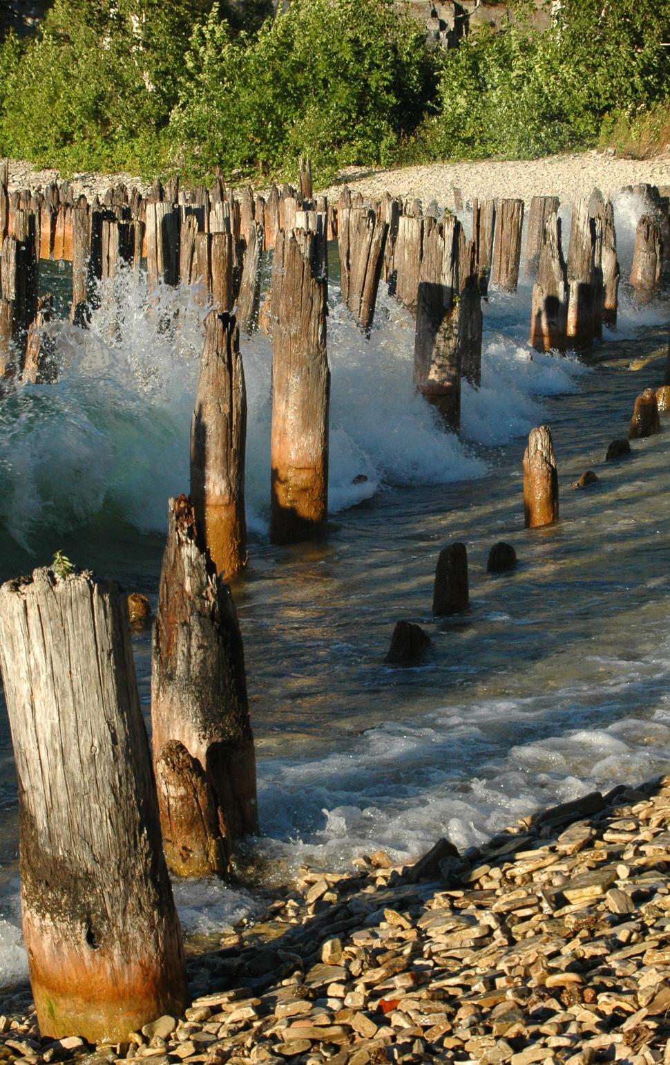 Free Image of Wooden Posts Emerging From Water 