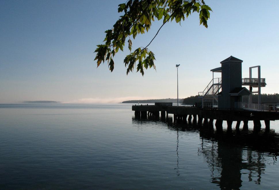 Free Image of Pier on a Lake With Tree in Foreground 