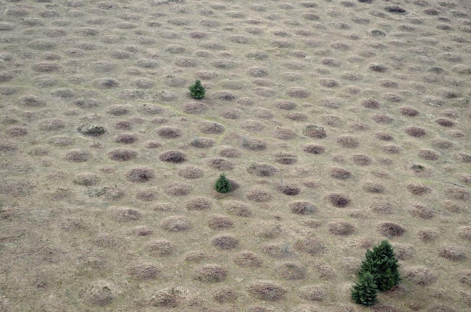 Free Image of Mima Mounds 