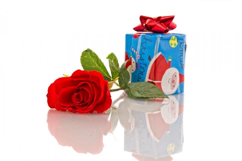 Free Image of Rose and Gift 