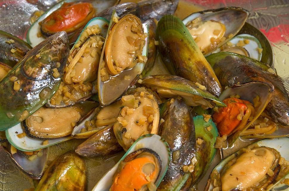 Free Image of Seafood Shells 
