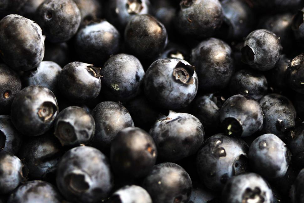 Free Image of Fresh ripe blueberries 