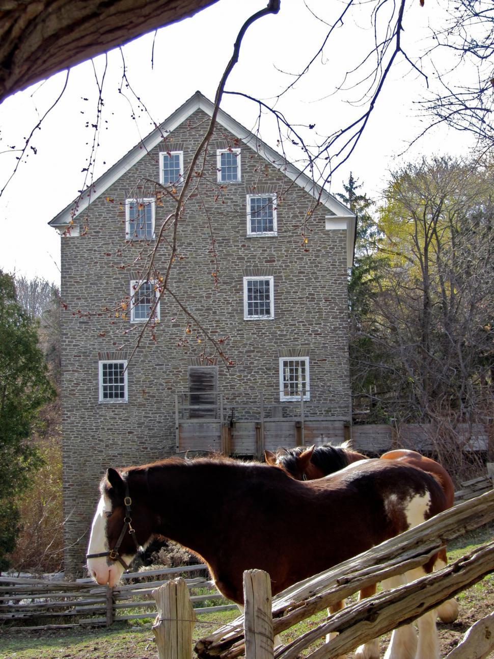 Free Image of Horse and Building 