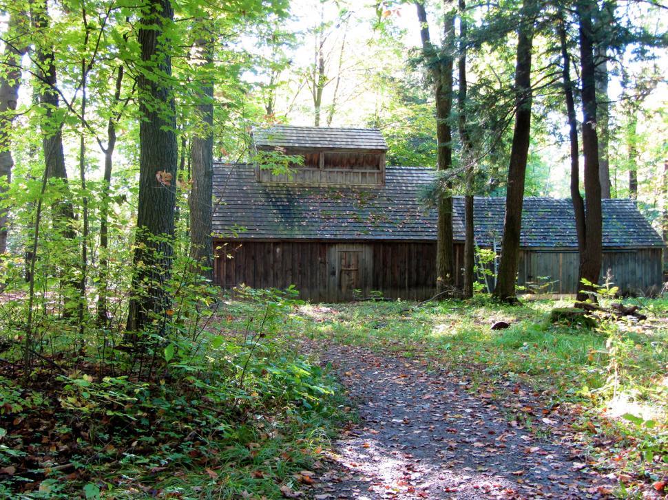 Free Image of House in the Woods With Path 