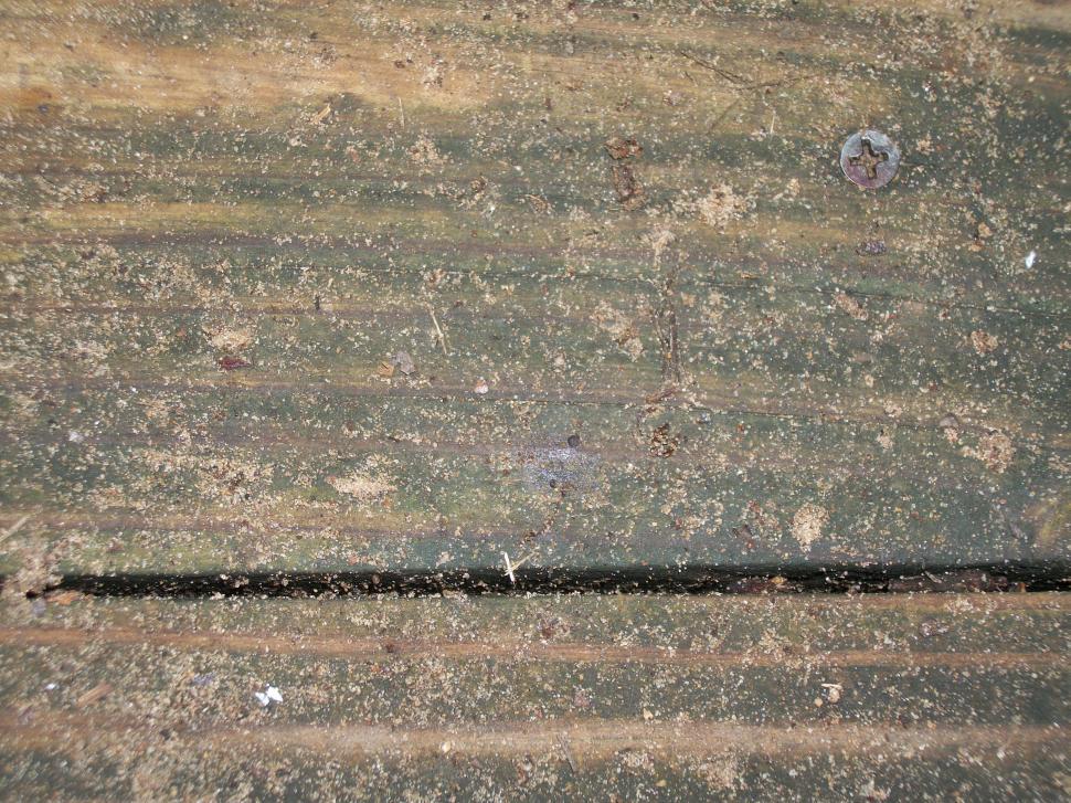 Free Image of Close Up of Skateboard on Wooden Surface 
