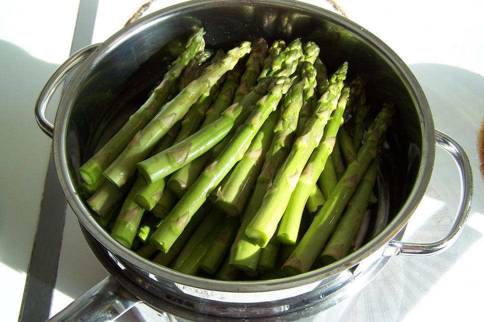 Free Image of Asparagus 1 