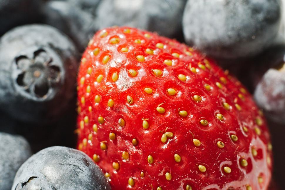 Free Image of Berries 