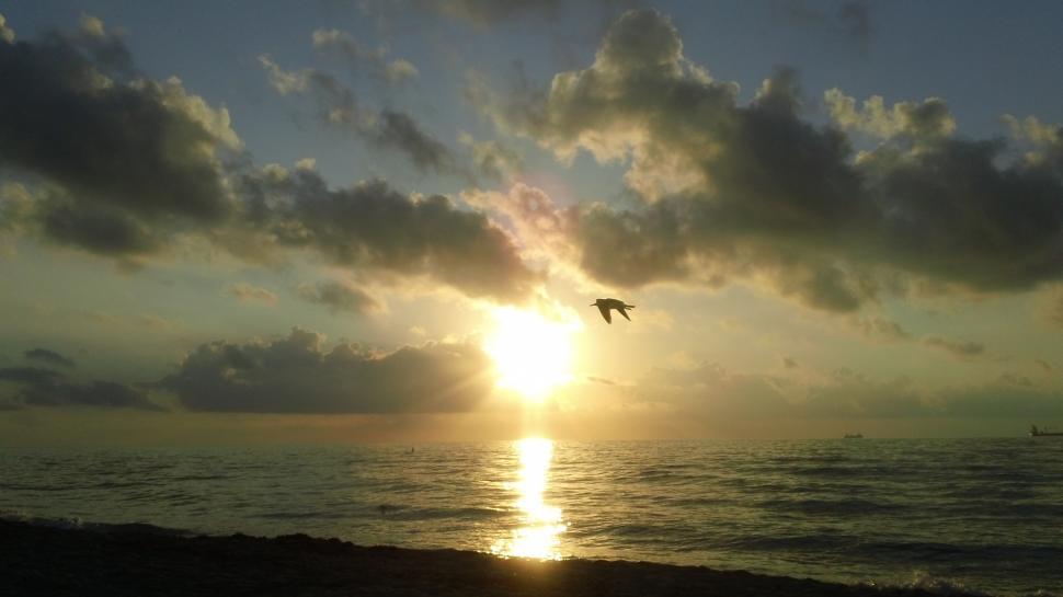 Free Image of Miami Beach Sun Rise 
