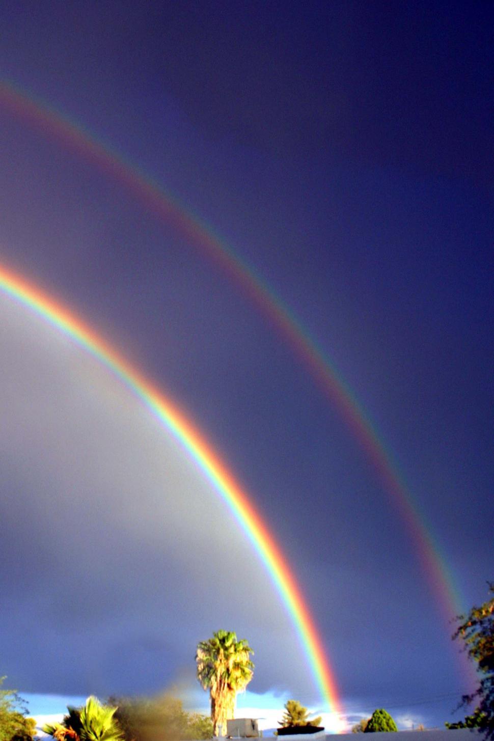 Free Image of Two Rainbows in the Sky Over a Palm Tree 