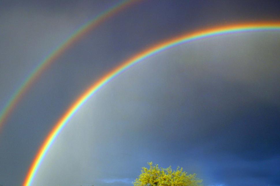Free Image of Two Rainbows in the Sky With a Tree in the Foreground 