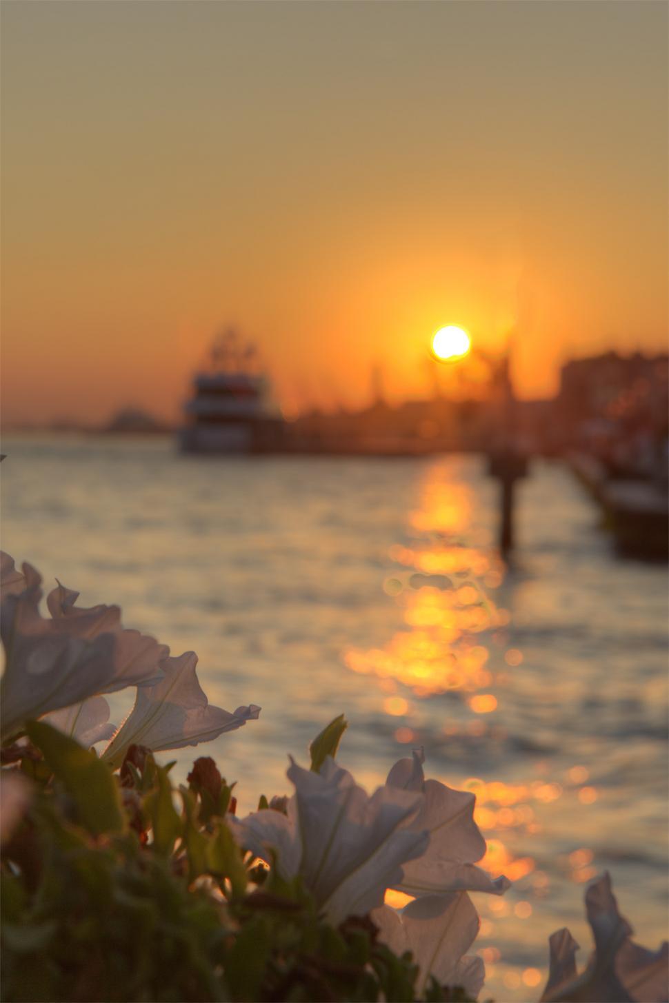 Free Image of Venice Sunset. 