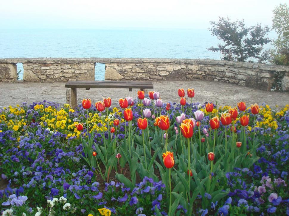 Free Image of Flowers by a Bench 