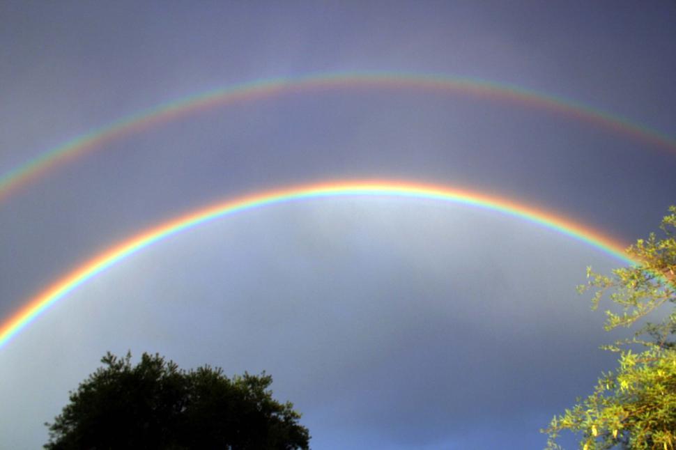 Free Image of Two Rainbows in the Sky Above Trees 