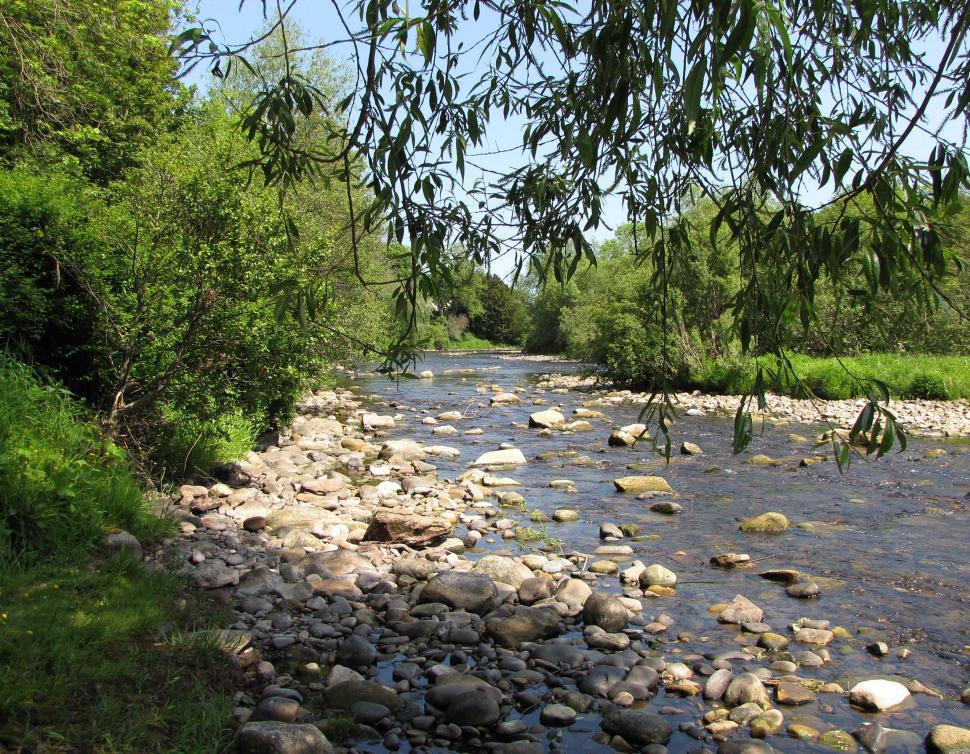 Free Image of Stream in England 