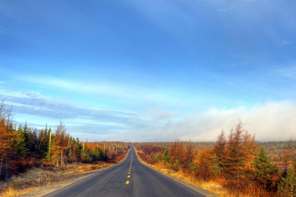 Free Image of Autumn Road 