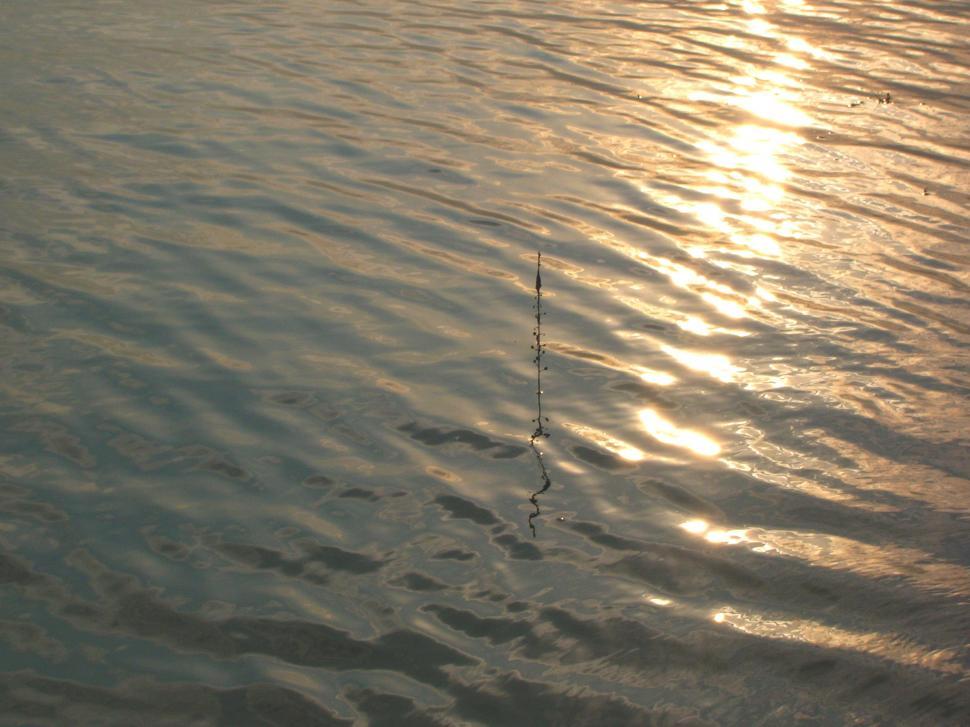 Free Image of Fishing Pole in Water 