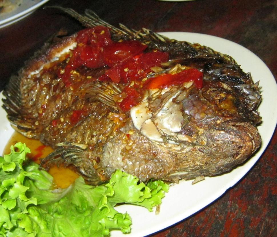 Free Image of Whole Fish in Tomato Sauce 