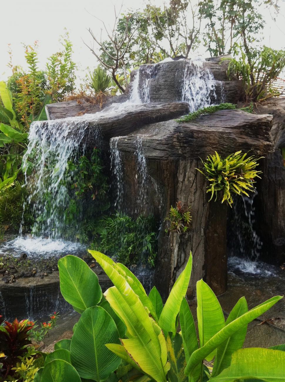Free Image of Tropical Garden Waterfall Feature 