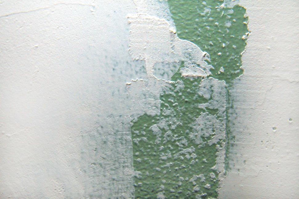 Free Image of Plaster texture 