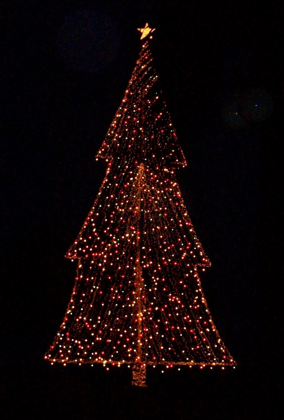 Free Image of Christmas Tree Lights on Black Background 