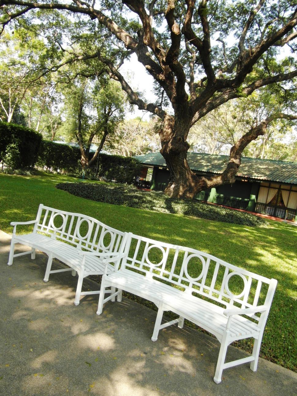 Free Image of Park Benches 