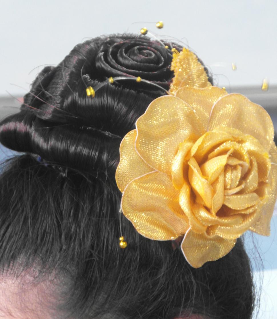 Free Image of Rose Hairstyle 