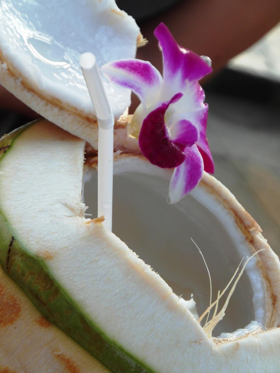 Free Image of Fresh Coconut on the Beach 