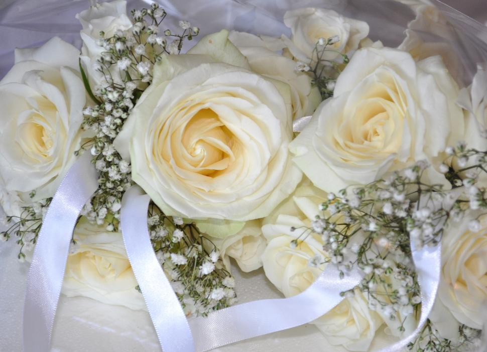 Free Image of Bouquet of White Roses and Babys Breath 