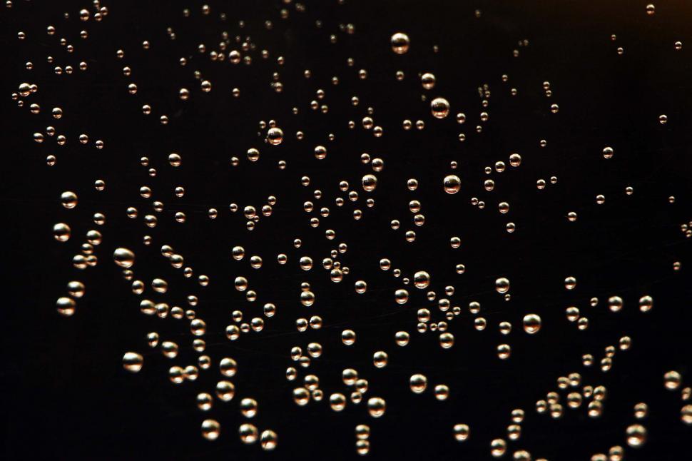 Free Image of Tiny bubbles 