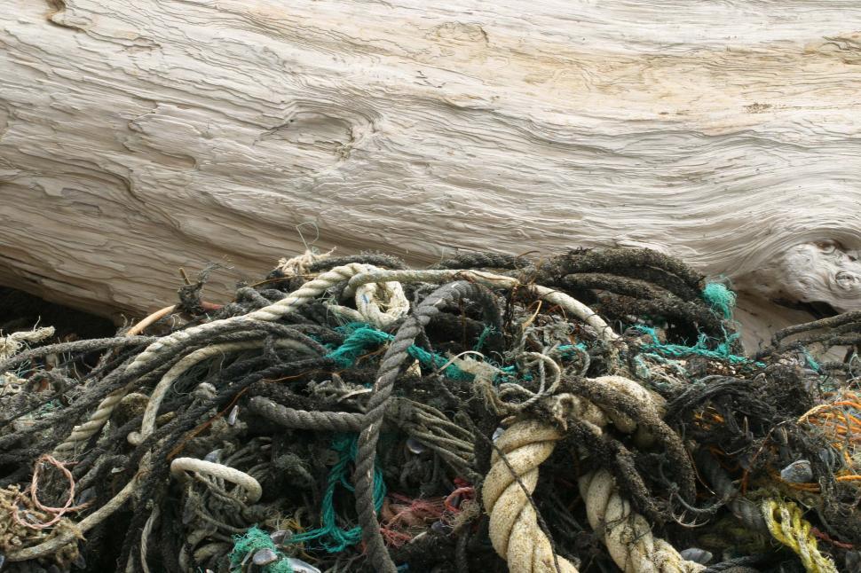 Free Image of Pile of Rope on Wooden Log 