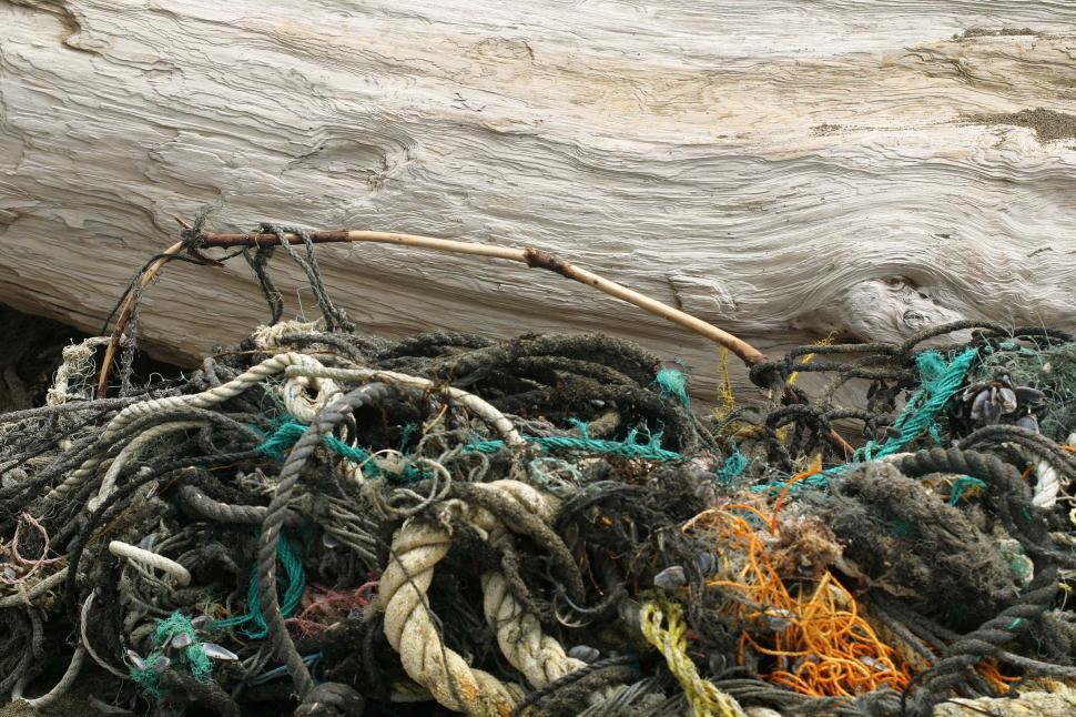 Free Image of Stack of Rope on Beach 