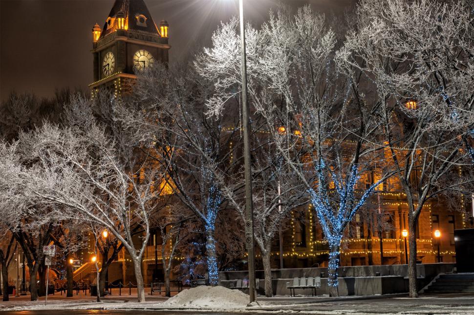Free Image of Snowy Street, Calgary City Hall 