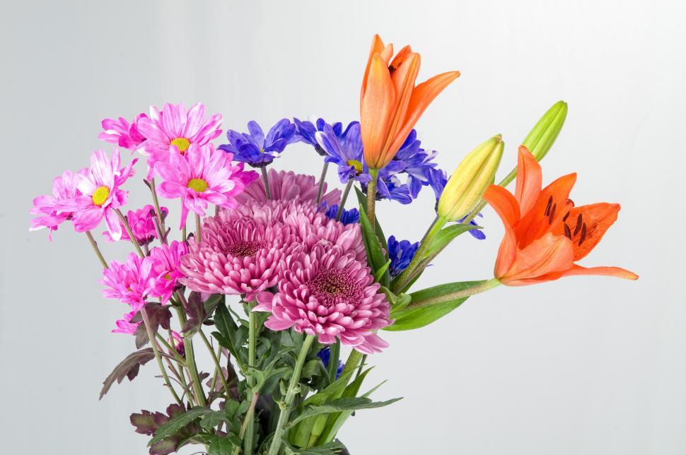 Free Image of Colorful Bouquet 