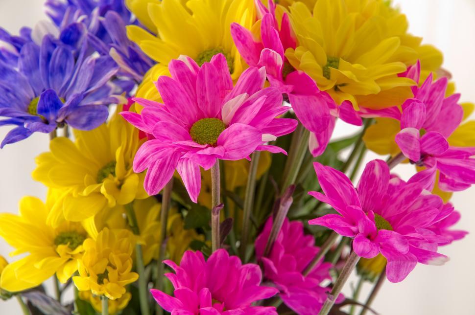 Free Image of Colorful Flowers in a Vase 