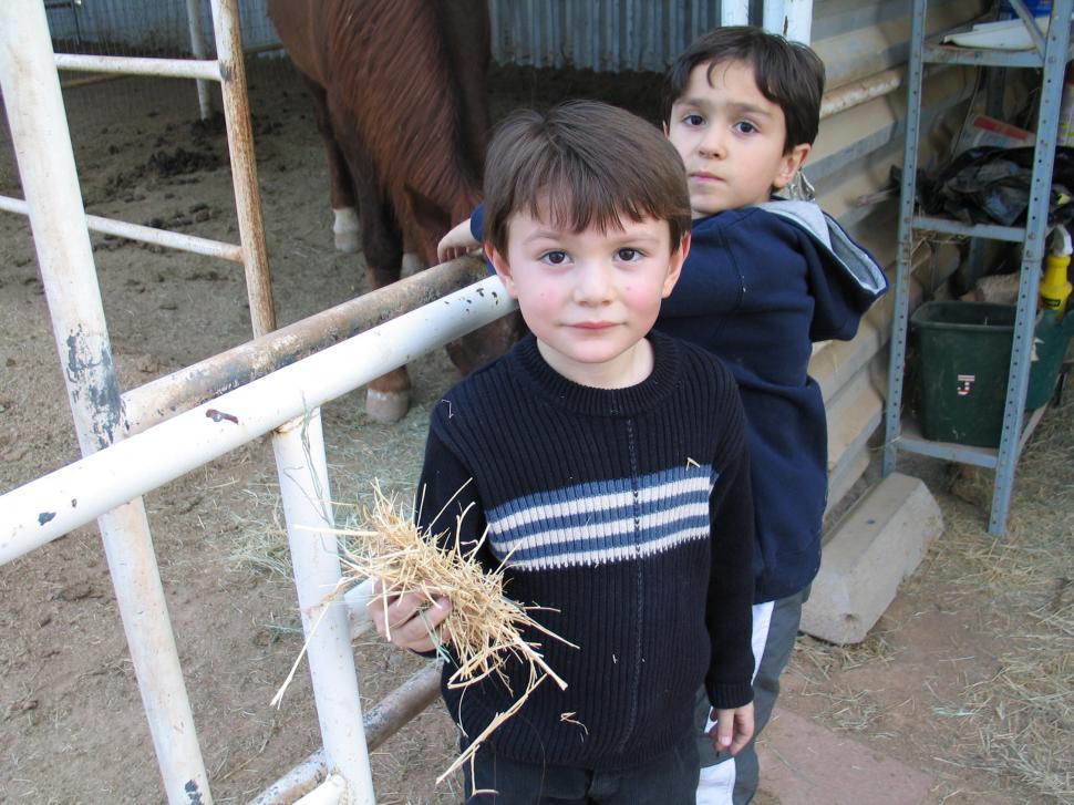 Free Image of Kids feeding horses 