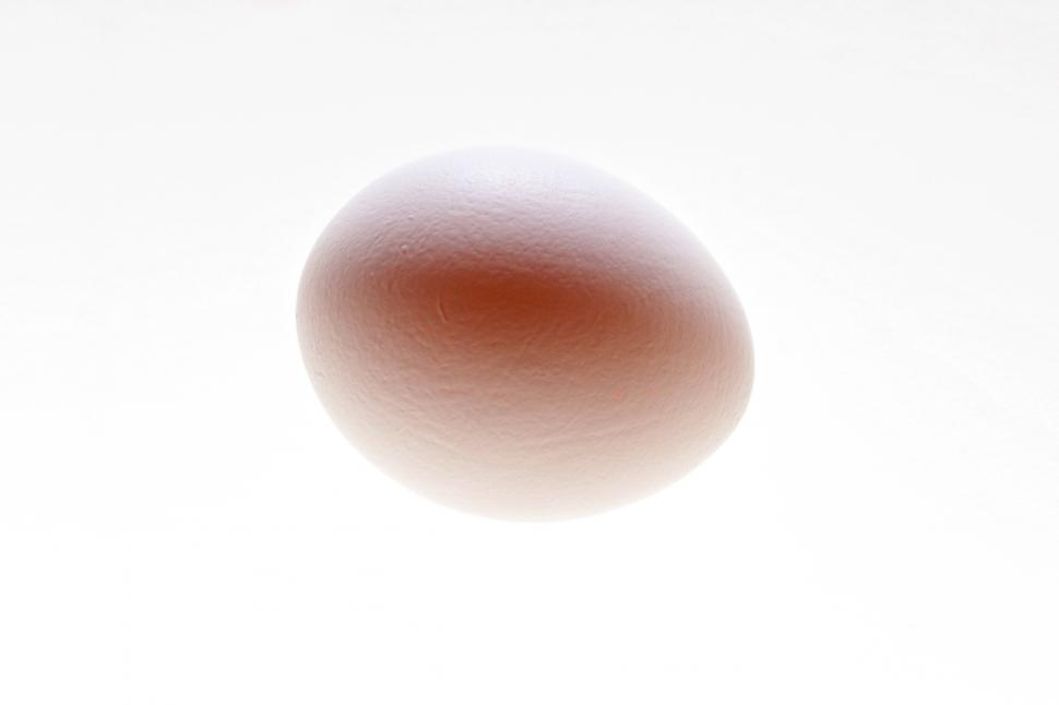 Free Image of Egg 