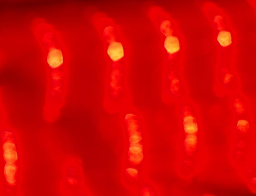Free Image of Abstract red background 