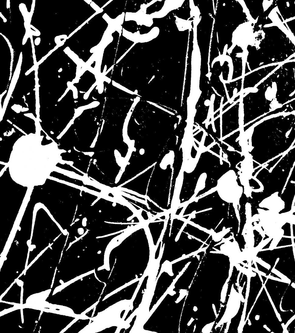 Download Free Stock Photo of Black and White Paint Splat 