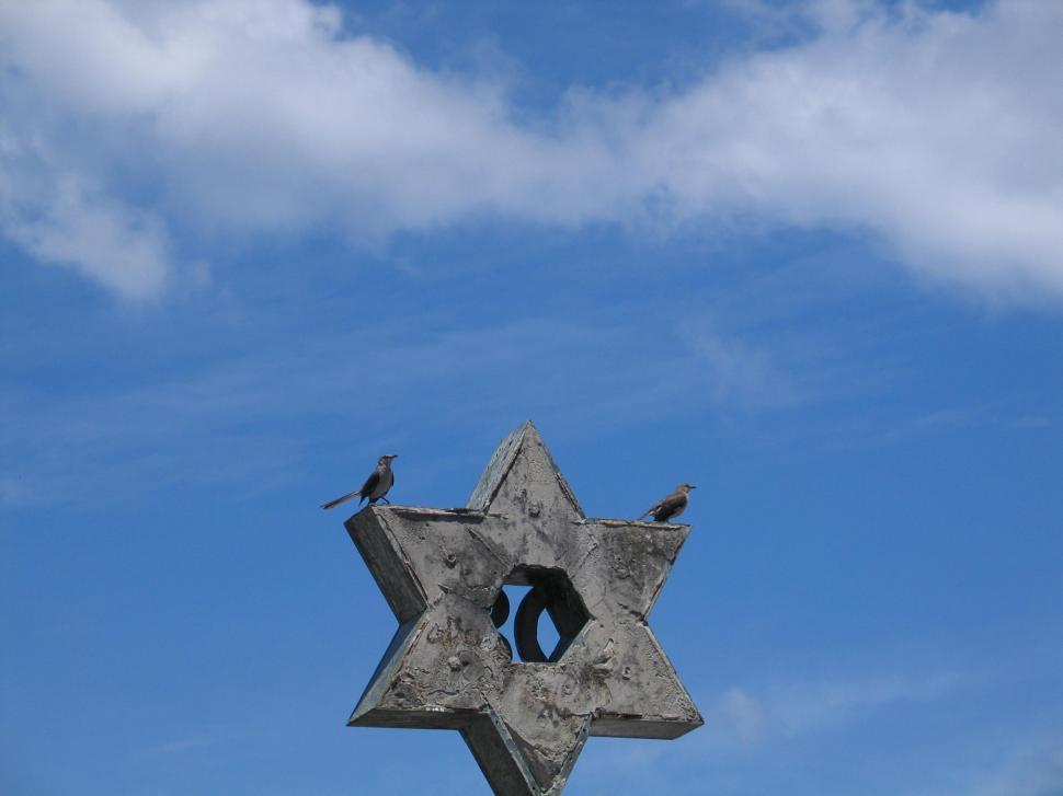 Free Image of Star of David Adorned With Birds 