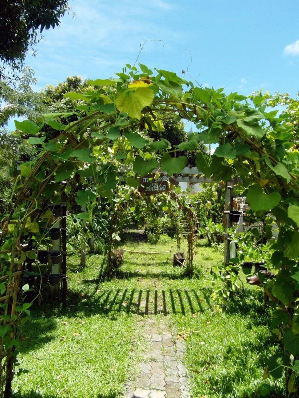 Free Image of Summer Garden Archway 