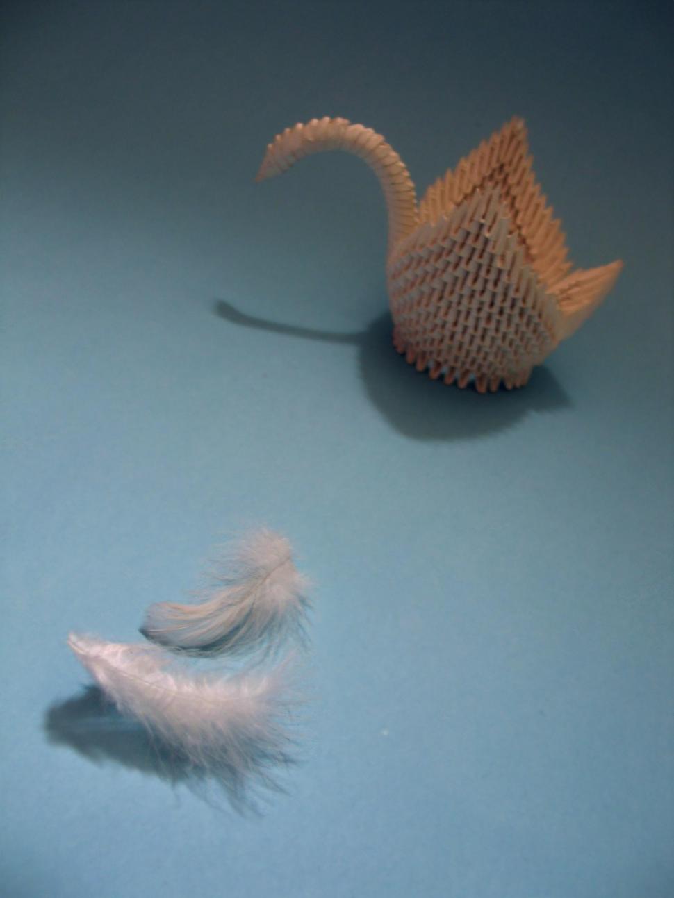 Free Image of Swan and Feathers 