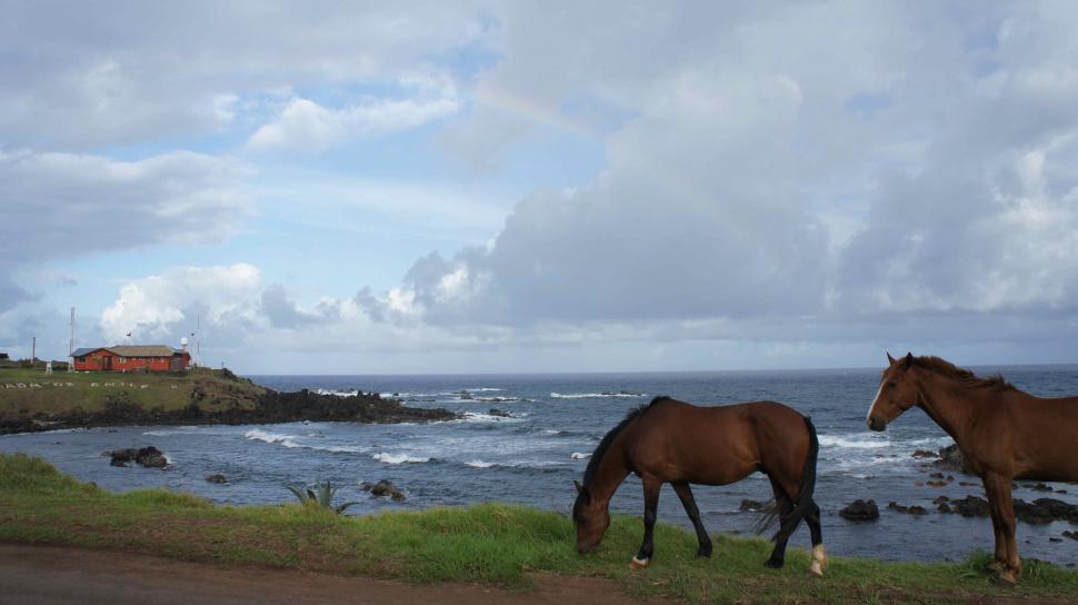 Free Image of Horses Under a Rainbow on Easter Island 
